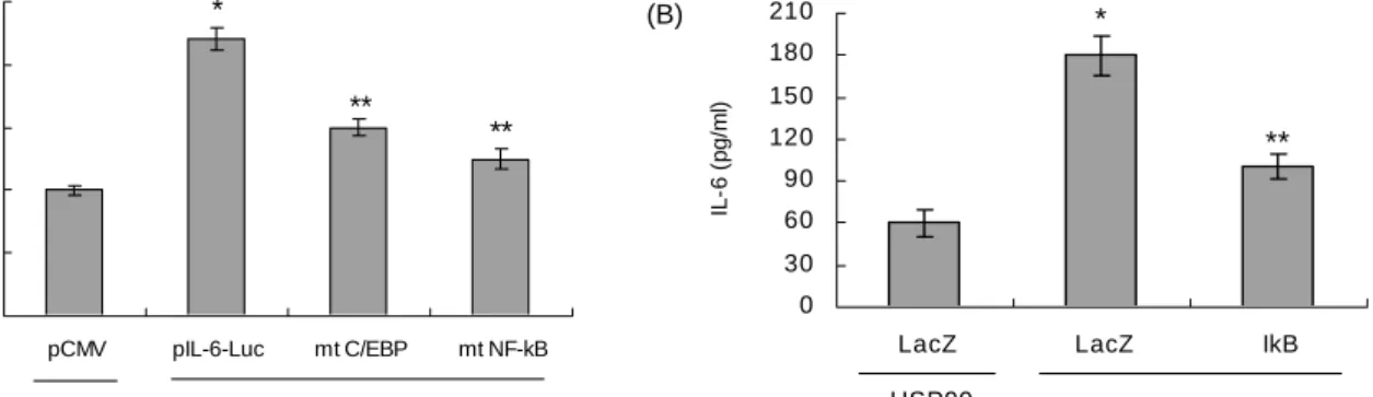 Fig.  4.  Suppression  of  IL-6  induction  through  inhibition  of  NF-κB.  (A)  The  effects  of  the  mutation  on  the  NF-κB  binding  consensus  sequence  on  promoter  activation  of  IL-6  gene