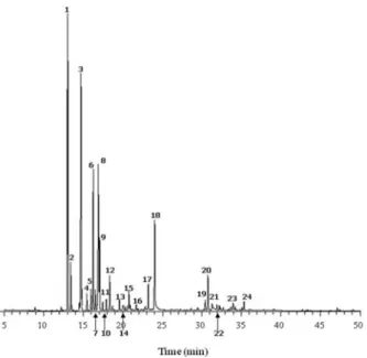 Fig.  1.  Total  ion  current  chromatograms  of  tea  tree  essential  oil  obtained  by  GC-MS  analysis