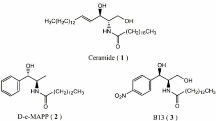 Fig.  1  一   Structure  of  ceramide  (1)  and  ceramidase  inhibitors  (2  and  3).