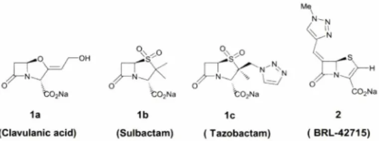 Fig.  1  - Structure  of  p-lactamase  inhibitors.