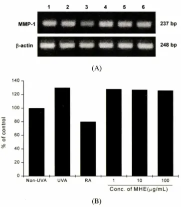 Fig.  4 Effect  of Melothria heterophylla  extract  (MHE)  on  MMP-1  mRNA  expression  in  UV  irradiated  human  dermal  fibro­
