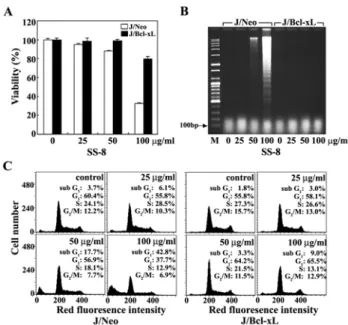 Fig.  3.  Effect  of  the  methylene  chloride  extract  (SS-8)  on  cell  viability  (A),  apoptotic  fragmentation  (B),  and  cell   cy-cle  distribution  (C)  in  Jurkat  T  cells  transfected  with  Bcl-xL  gene  (J/Bcl-xL)  or  vector  (J/Neo)