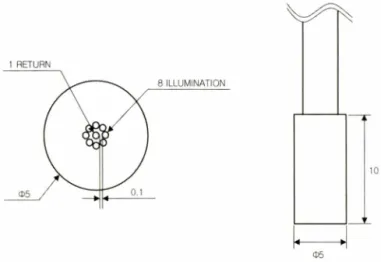 Fig.  1  -   Schematic  diagram  of  fiber  optic  probe.