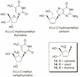 Fig.  1 - Structures  of  branched  furanose  nucleoside,  carbocyclic  nucleosides  and  target  nucleosides.