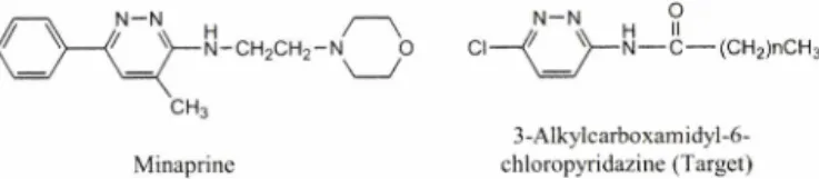 Fig.  2 - Structure  of  target  compound  and  minaprine