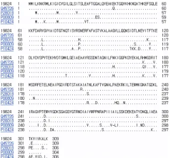 Fig.  6.  Multiple  alignment  of  the  amino  acid  sequences  of  β-  lactamase  of  Bacillus  sp