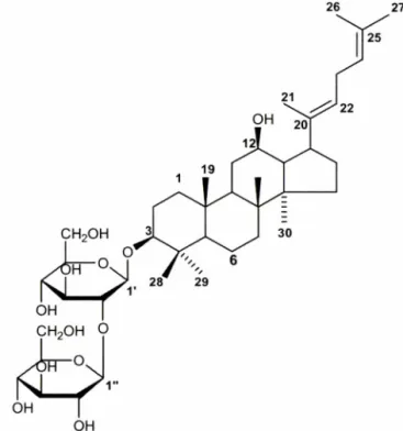 Fig.  4 - The  effects  of NO  synthesis  by  butanol  fraction  of heat-  processed  ginseng  by  the  treatment  of PDTC  and  poly­