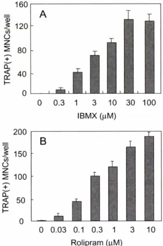 Fig.  2 - Effect  of  PDE  inhibitors  in  combination  with  PGE2  on  osteoclast formation