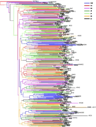 Table  4.  Matrix  of  DA  genetic  distance  observed  among  the  populations. GG JN JP KN KP KW HAN GG JN JP KN KP KW HAN  -0.0240.0260.0250.0320.0210.176  -0.0270.0260.0320.0220.178  -0.0260.0280.0210.161  -0.0310.0240.166  -0.0210.173  -0.163 