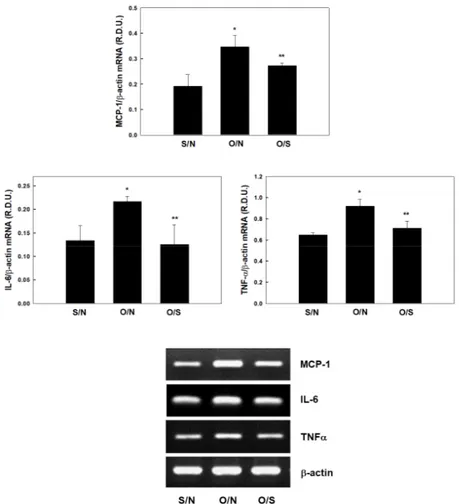 Fig.  4.  Effects  of  exercise  on  MCP-1,  IL-6,  TNFα  in  liver.
