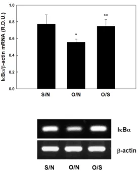 Fig.  5.  Effects  of  exercise  on  IκBα  in  liver. All  values  are  expressed  as  mean  ±  SD