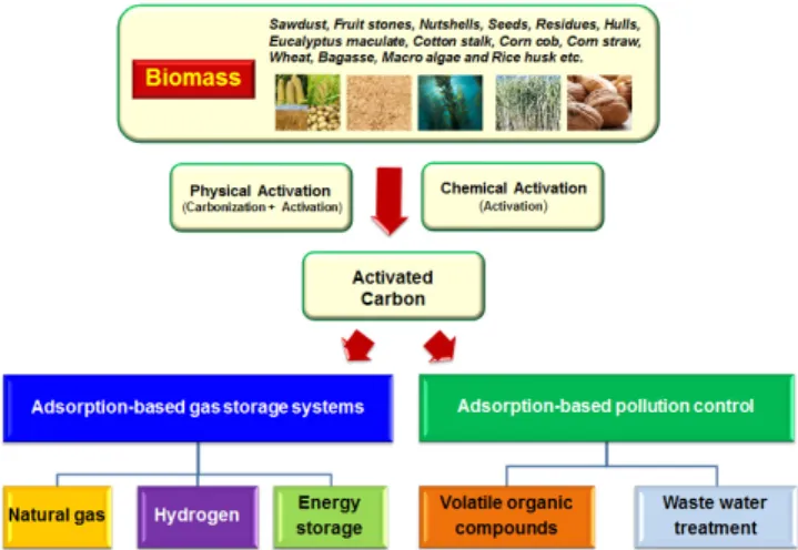 Figure 1. Pathways of producing biomass-based activated carbon and  their application.