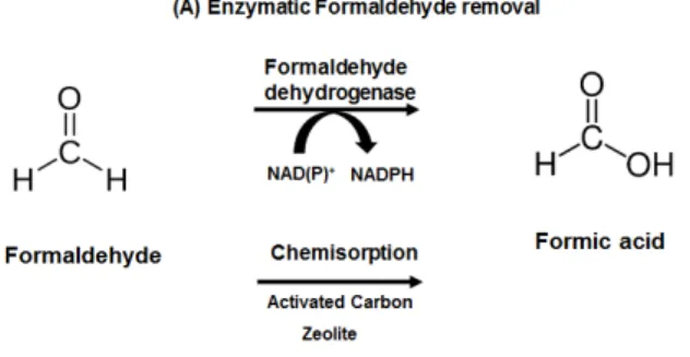 Figure 2. SDS-PAGE analysis of purified FDH protein. Lan1, marker; 