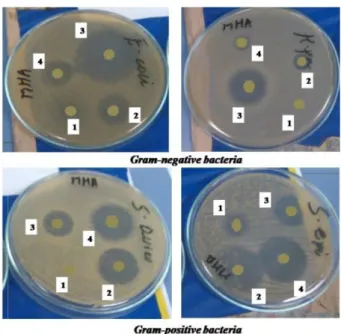 Fig. S4 shows the CVs of [Fe(L 1 ) 2 (H 2 O) 2 ]Cl 3  and