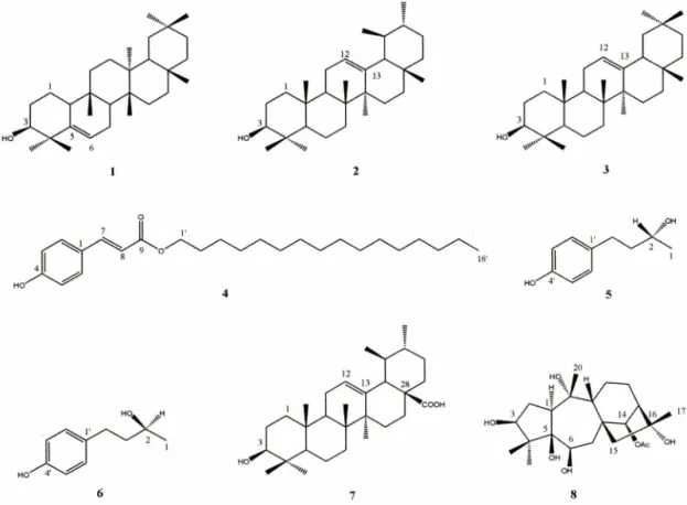 Fig.  1 - The  structures  of compounds  (1—8)  isolated  from  Rhododendron  brachycarpum.