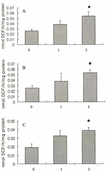 Fig.  2 -  The  changes  of lipid  peroxidation  administered  LPS  i.p.  m  brain.  (A)  In  striatum,  (B)  in  hippocampus,  and  (C)  in  cerebral  cortex,  LPS  increased  dose  dependency  lipid  peroxidaton