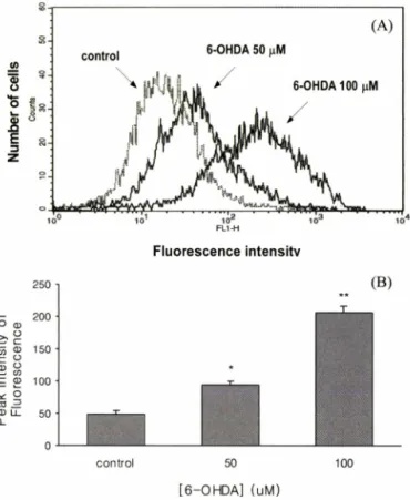 Fig.  3 - Effect  of  6-OHDA  on  the  generation  of  ROS.  Oxidative  stress  was  assessed  by  examination  of  changes  in  generation  of  ROS  by  the  DCFH-DA  dye  method  using  a  flow  cytometry  (FACScan)