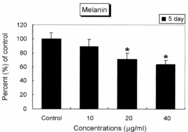 Fig.  2 - Light  micrographical  observation  of B16  cells  after treat­