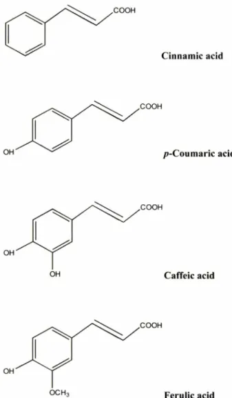 Fig.  1 - Structures  of  phenylpropanoids.