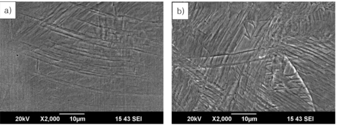 Fig. 3.  SEM micrograph showing the effect of cold rolling in Fe-20Mn-12Cr-3Ni-3Si alloy