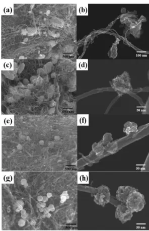 Figure 1. The amperometric detection results obtained from the  glucose biosensor electrode prepared using multi-walled carbon  nanotube sputtered with Au for 0, 30, 50, and 100 s.
