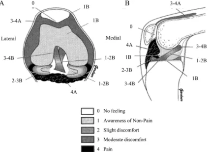 Fig. 1. Sensory threshold value inside the right knee joint.