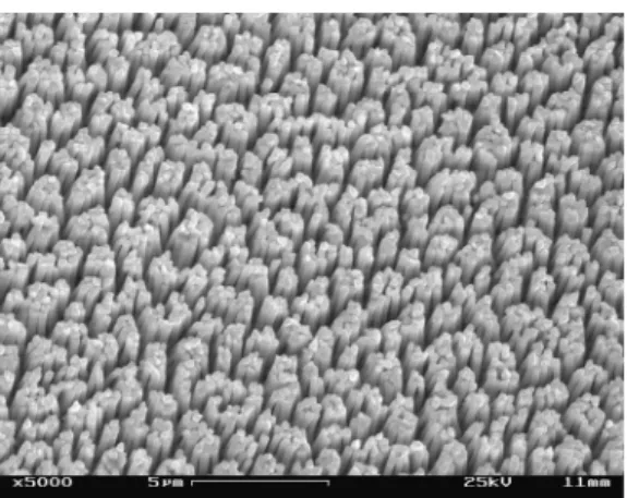 Figure 2. The schematic diagram for stepwise formation of multilayer  on the gold nanorods electrode surface.