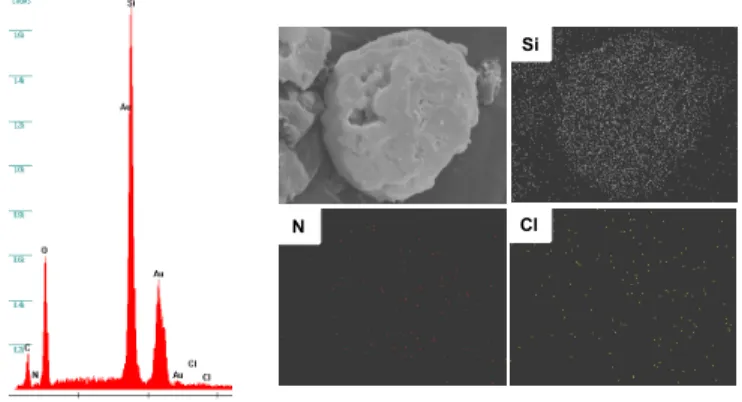 Figure 1. SEM/EDX Mapping images of surface functionalized silica  with ionic liquid.