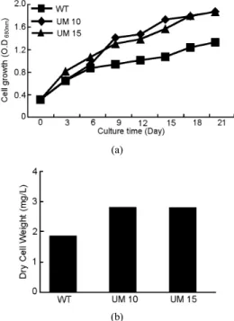 Figure  3.  Effects  of  UV  exposure  time  on  the  lipid  content  in  C. 