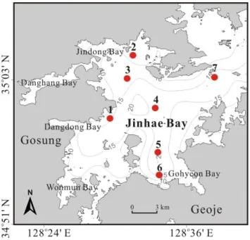 Fig.  1.  Map  showing  the  study  area  and  sampling  stations  in  Jinhae  Bay. 2.2  식물플랑크톤  색소분석 UPLC를 이용한 해수 중 식물플랑크톤의 색소분석을 위하 여 현장에서 채수한 약 1 L의 해수를 47 mm  GF/F  여과지를  이용해 여과한 후 알루미늄 호일로 차광한 뒤 냉동상태로  운반하여 분석 시까지 초저온 냉동고(-80℃)에 보관하였다