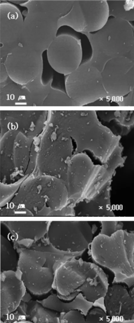 Figure 10. Interlaminar shear strength of the C/C composites with  MoO 3  contents[32].