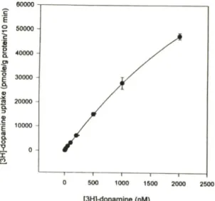 Fig.  1 — Dose effect on the uptake activity of dopamine  transporter.  DAT-transfected  CV-1  cells  were  incubated  with  increasing  concentrations  of  [^H]-dopamine  for  10 min  as  described  in  'Materials  &amp;  Methods'