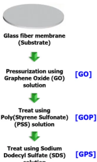 Fig. 1. Illustrative schematic diagram of the  sequential modification through  pressurization and dipping