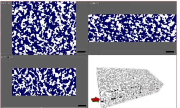 Fig. 3. 3D X-ray nano tomography image of a  selected membrane (GPS). XY plane, YZ  plane, ZX plane, and reconstructed 3D  image
