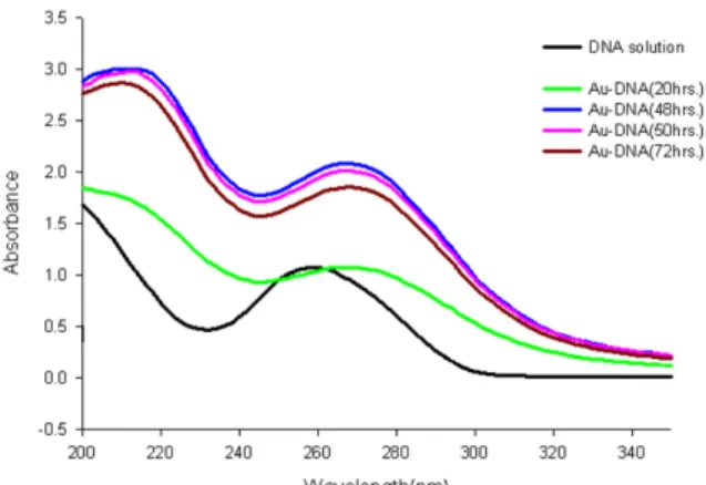 Figure 1. UV spectra of DNA and DNA-Au(III) complex as a function  of reaction time.