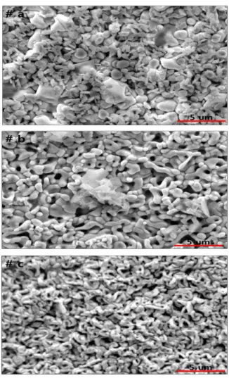 Fig.  5. EIS  circuit  model  and  oxide  layer  model  of  Ag  925  with  Nd 