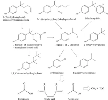 Figure 8. Primary intermediate products formed from BPA.