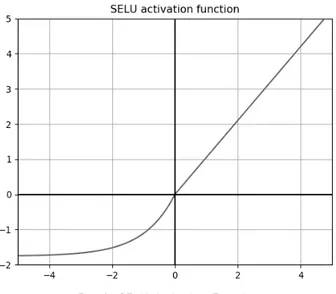 Fig. 2. SELU Activation Function