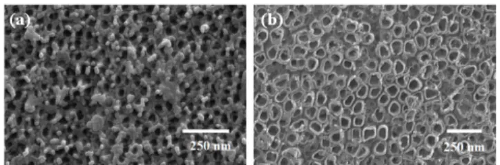 Figure 2. SEM images of titanium nanotubes prepared in (a) H 2 SO 4 /HF solution at 20 V for 1 h and (b) H 3 PO 4 /NaOH/HF electrolyte at 20 V for 4 h