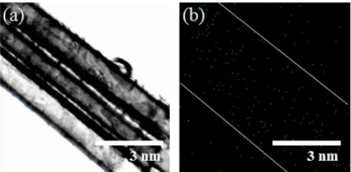 Figure 5. (a) Ru oxide particles doped by potential shock was observed at the surface of nanotubes