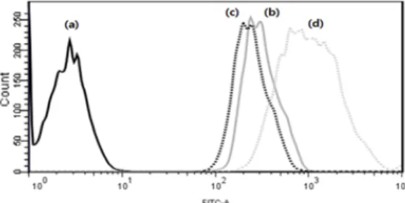 Figure 1. Flow cytometric analysis; intracellular uptake of FITC-loaded in catinic liposomes; (a) negative cell, (b) PB solution, (c) liposome, (d) cationic liposome (DOTAP 3 mM).