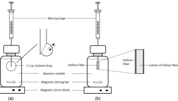 Figure 2. Schematic comparison between (a) SDME and (b) HF-LPME.