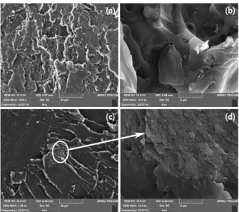 Figure 9. SEM images of PC/GO ((a), (b)) and PC/RGO ((c), (d))  composites.