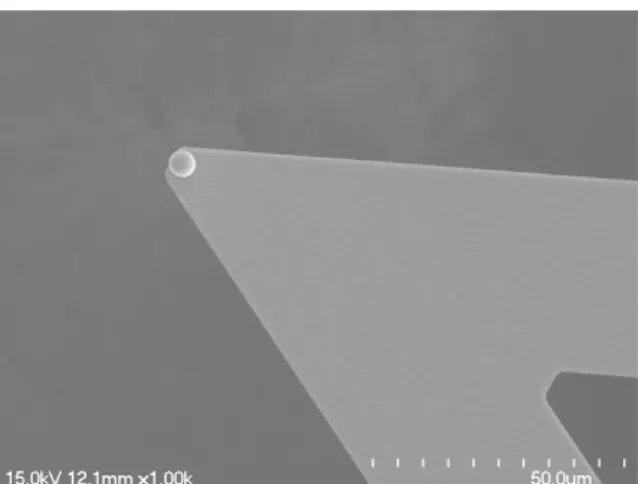 Figure 1. Cantilever to which a zirconium dioxide sphere is attached.