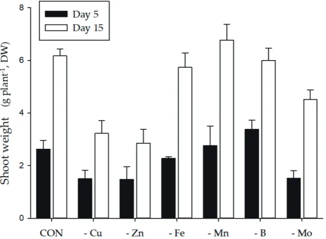 Fig. 1. Comparison of shoot growth rates of bell pepper plants grown under different types of 