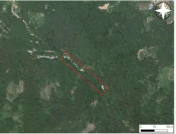 Figure  2.  Fixed  plot  survey  area  of  priority  research  area(Mt.  Cheonju,  C2)   