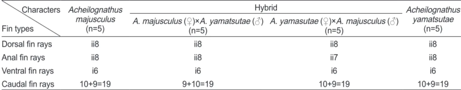 Fig. 7.   Comparison of morphological of newly hatched larvae  hybrid between. A, YM (A