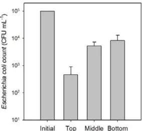 Figure 8. E. coli concentrations of the scoria powder samples taken at different positions in depth.