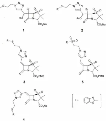 Table  I -In   vitro   (3-lactamase  inhibitory  activity  of  synthesized  compounds  (IC50,  [iM)