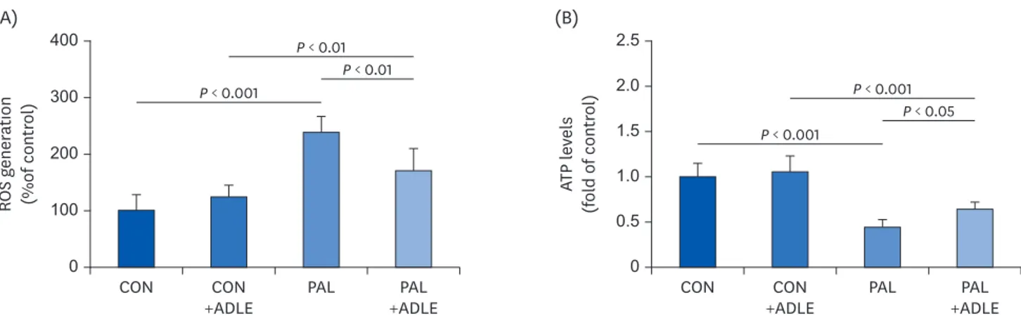 Fig. 6. ADLE treatment partially prevents ROS generation and restores the ATP levels reduced by palmitate in INS-1 cells